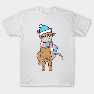 Kitty Cat and Transgender Pride Flag Hat and Scarf T-Shirt